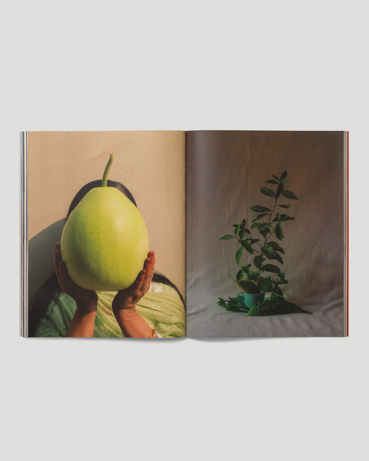 https://arxipelag.com/wp-content/uploads/2025/02/Arxipelag-issue-1-inside-10.jpg